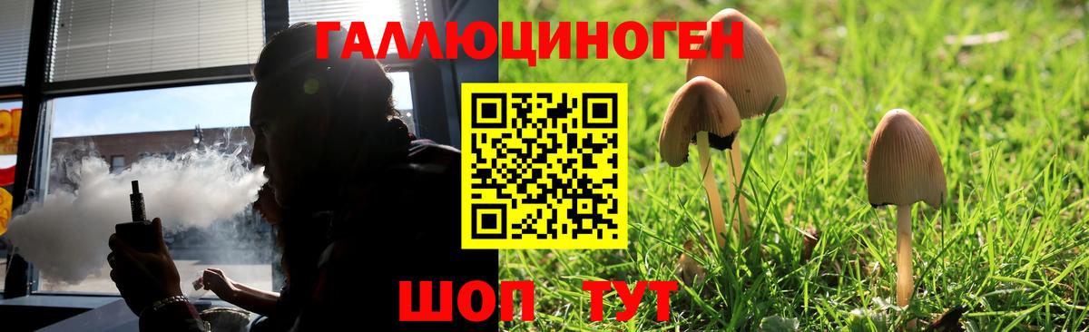 Светлоград  Галлюциногенные грибы Psilocybine cubensis  Вход с VPN 